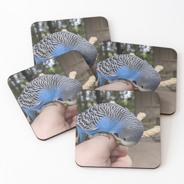 Item preview, Biting Budgerigar designed and sold by TheRealDanniX.