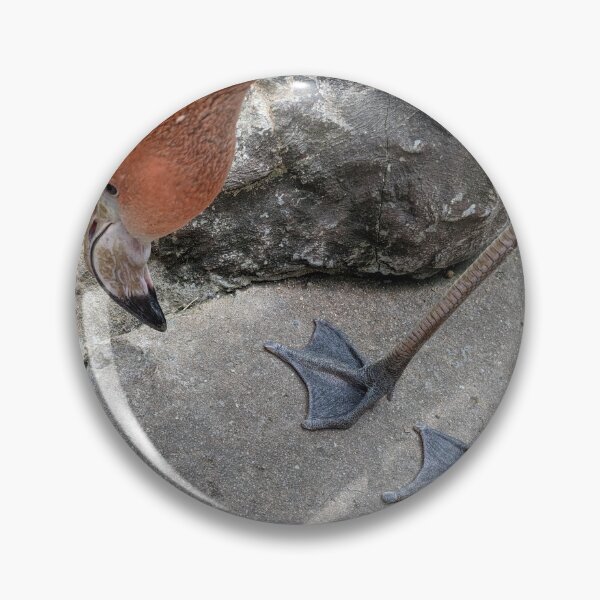 Item preview, A Bending Flamingo designed and sold by TheRealDanniX.