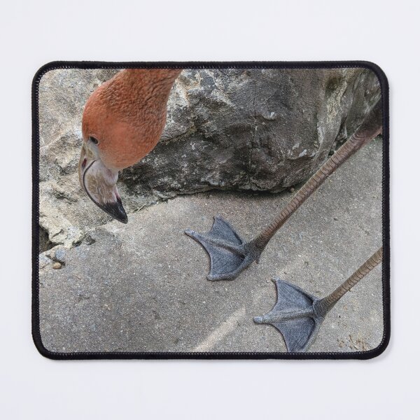 Item preview, A Bending Flamingo designed and sold by TheRealDanniX.
