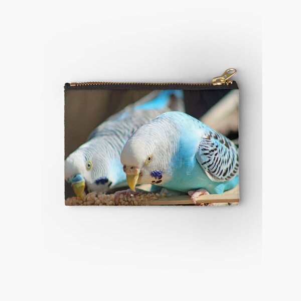Item preview, Budgies Snacking designed and sold by Cynthia48.