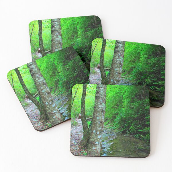 Item preview, View from Sarnano on the road to Cascata del Pellegrino with trunks, waters, pebbles, greenery designed and sold by Kristina Drozd.