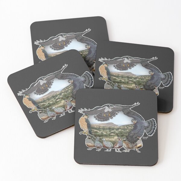 Item preview, Birds and Prey - Accipiters designed and sold by Corvola Creations.