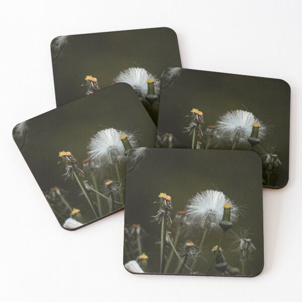 Item preview, American Burnweed designed and sold by HectorCantres.