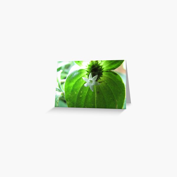 Power, Love, and a Sound Mind Greeting Card