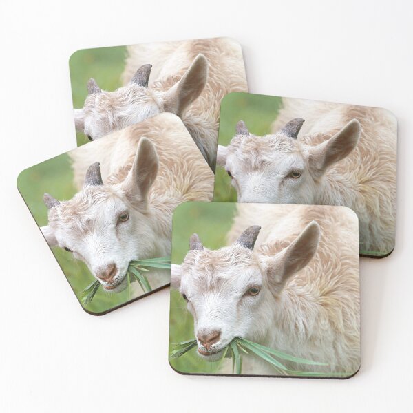 Item preview, Farm goat  designed and sold by animal-animal.