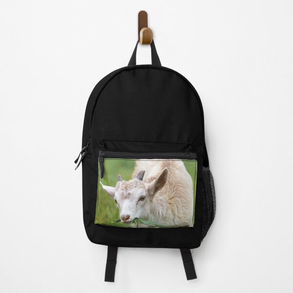 Item preview, Farm goat  designed and sold by animal-animal.