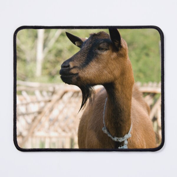 Item preview, Farm goat designed and sold by animal-animal.
