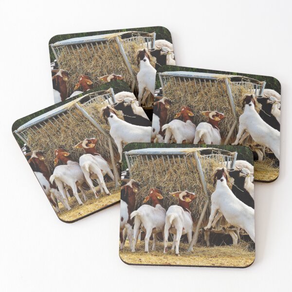 Item preview, Goat farm designed and sold by animal-animal.