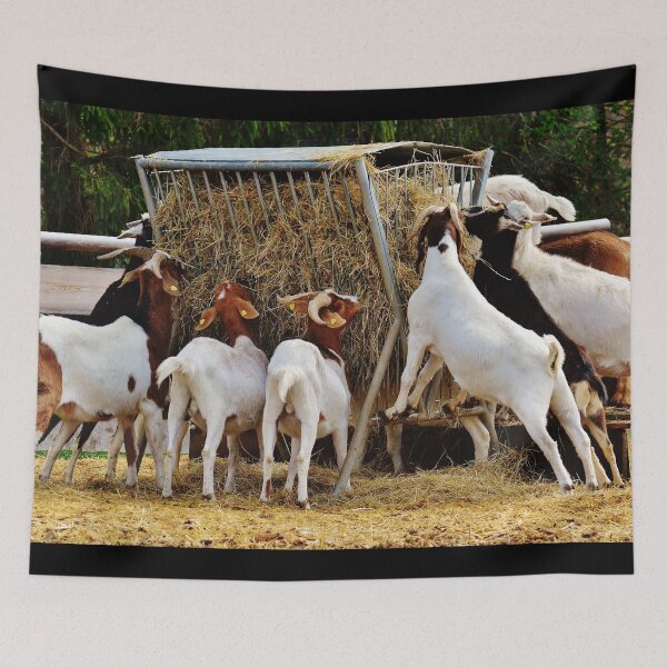 Item preview, Goat farm designed and sold by animal-animal.