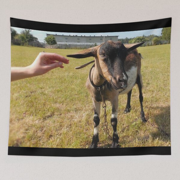 Item preview, Goat farm designed and sold by animal-animal.