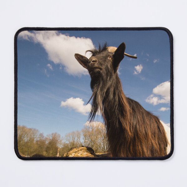 Item preview, Goat farm - Funny goat - black goat designed and sold by animal-animal.