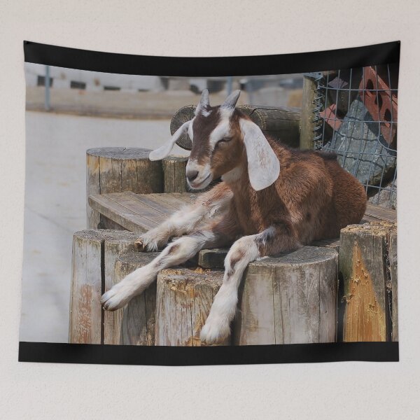 Item preview, Goat farm - cute goat designed and sold by animal-animal.