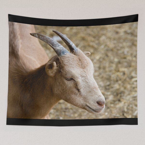 Item preview, Goat farm - cute goat designed and sold by animal-animal.
