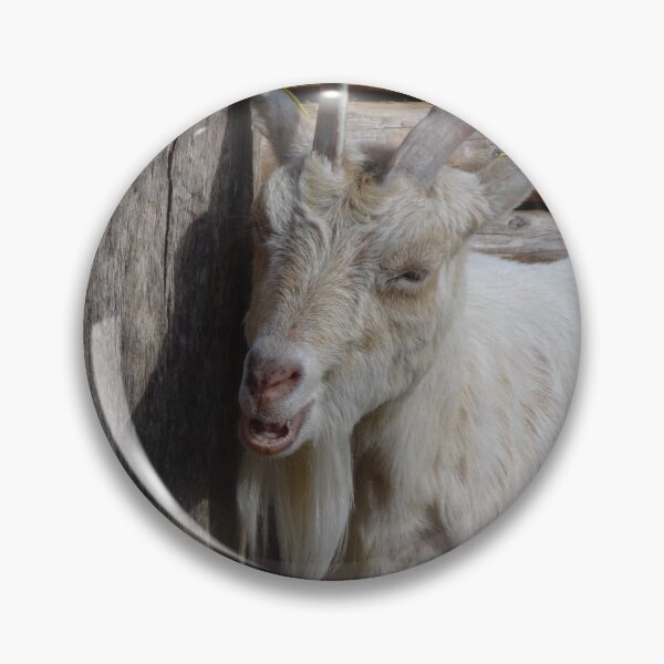 Artikelvorschau, Goat farm - Funny goat - white goat entworfen und verkauft von animal-animal.