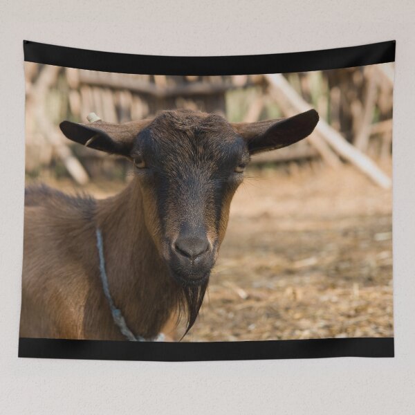 Item preview, Goat farm - Funny goat designed and sold by animal-animal.