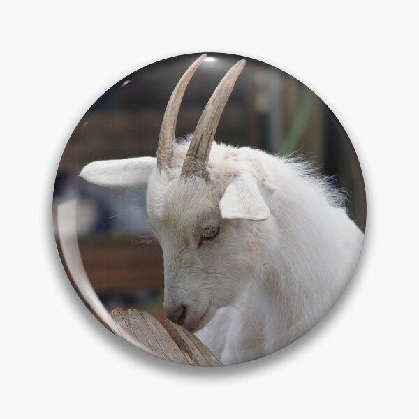 Artikelvorschau, Goat farm - Funny goat - white goat entworfen und verkauft von animal-animal.