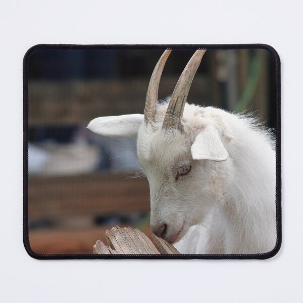 Item preview, Goat farm - Funny goat - white goat designed and sold by animal-animal.