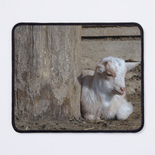 Item preview, Goat farm - Funny goat - White goat designed and sold by animal-animal.