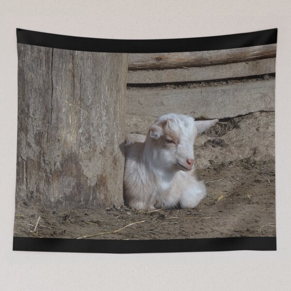 Aperçu de l'œuvre Goat farm - Funny goat - White goat créée et vendue par animal-animal.