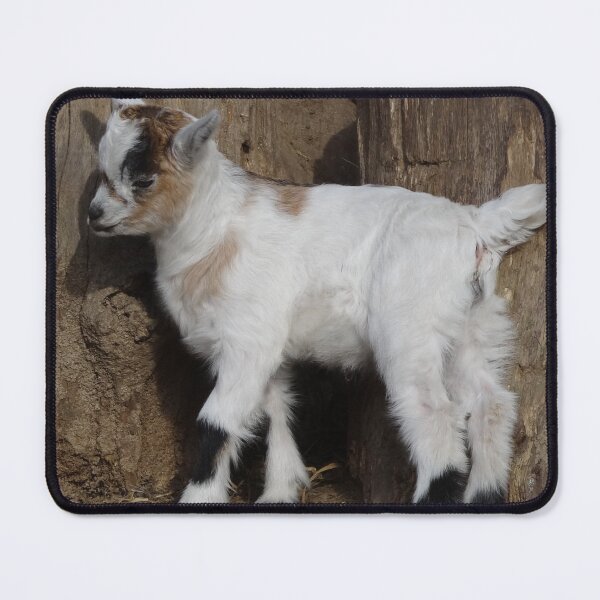 Artikelvorschau, Goat farm - Funny goat - White goat entworfen und verkauft von animal-animal.