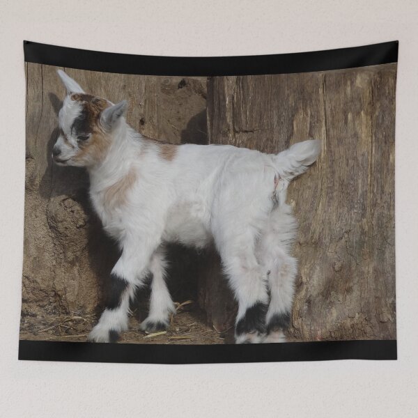 Aperçu de l'œuvre Goat farm - Funny goat - White goat créée et vendue par animal-animal.