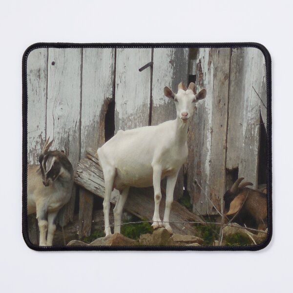 Artikelvorschau, Goat farm - Funny goat - White goat entworfen und verkauft von animal-animal.