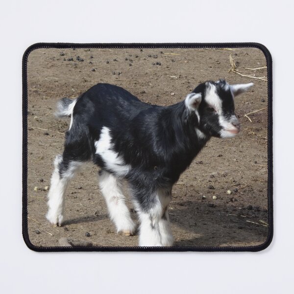 Item preview, Goat farm - Funny goat - White goat - Black goat designed and sold by animal-animal.