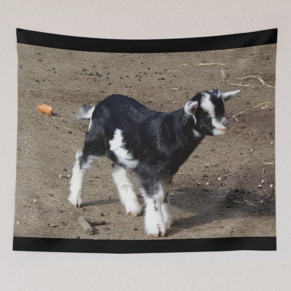 Aperçu de l'œuvre Goat farm - Funny goat - White goat - Black goat créée et vendue par animal-animal.