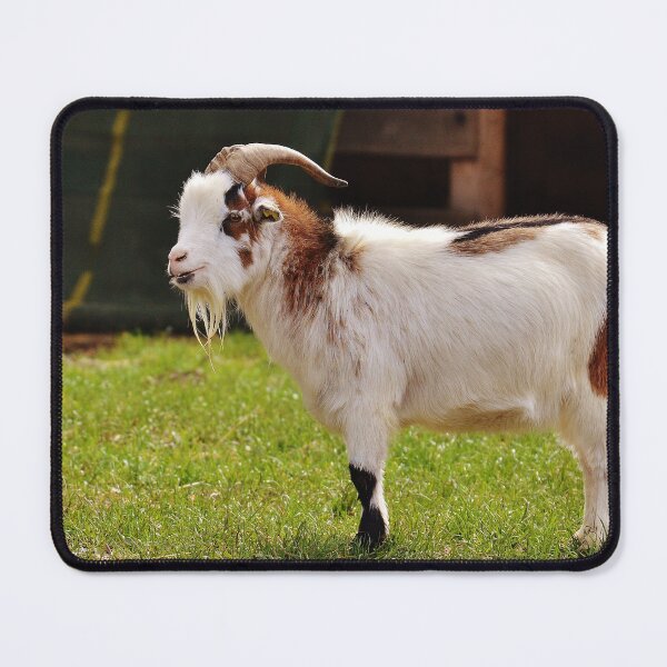 Artikelvorschau, Goat farm - Funny goat - White goat entworfen und verkauft von animal-animal.