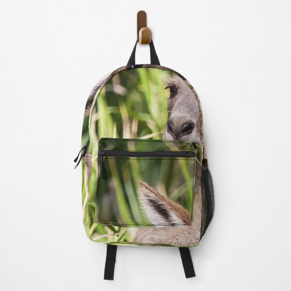 Item preview, Grey Kangaroo, Australia designed and sold by Life Images by Jill .