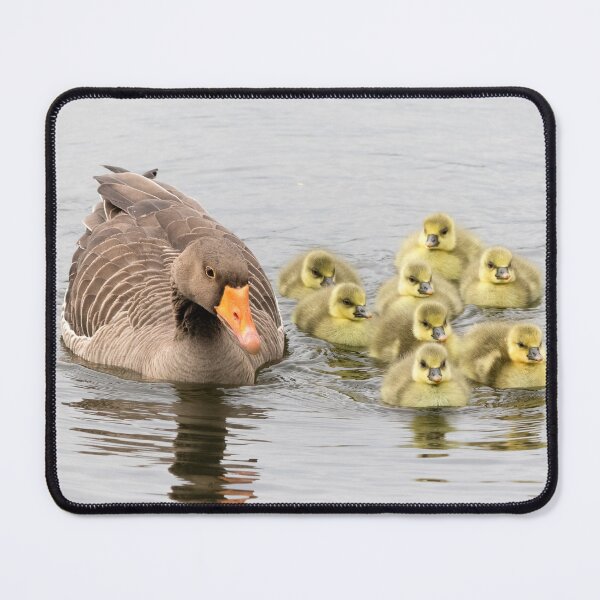 Item preview, Grey geese designed and sold by Margriet Photography .