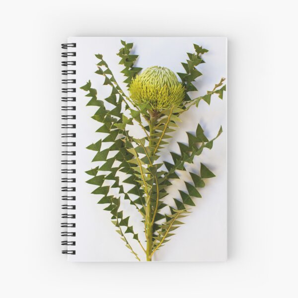 Item preview, Banksia Baxteri-Western Australia designed and sold by Life Images by Jill .