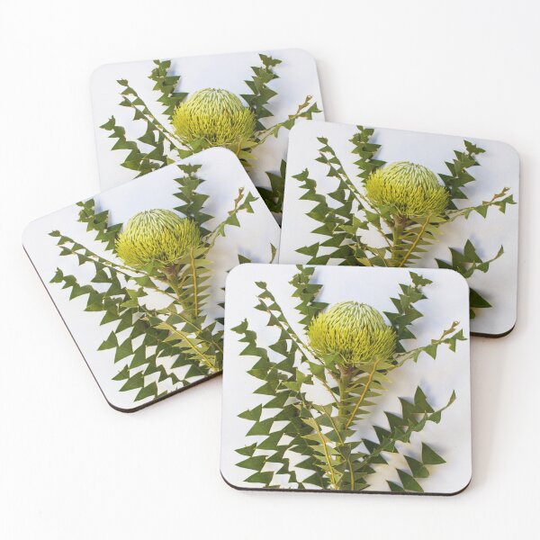 Item preview, Banksia Baxteri-Western Australia designed and sold by Life Images by Jill .