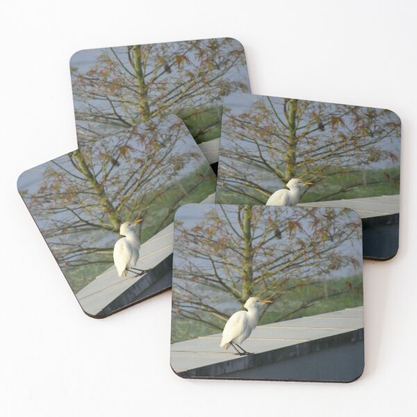 Item preview, Cattle Egret designed and sold by MercerImages.