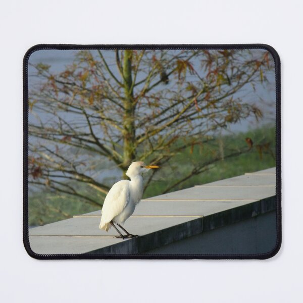 Item preview, Cattle Egret designed and sold by MercerImages.