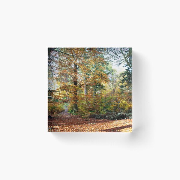 Amongst The Memories Acrylic Block