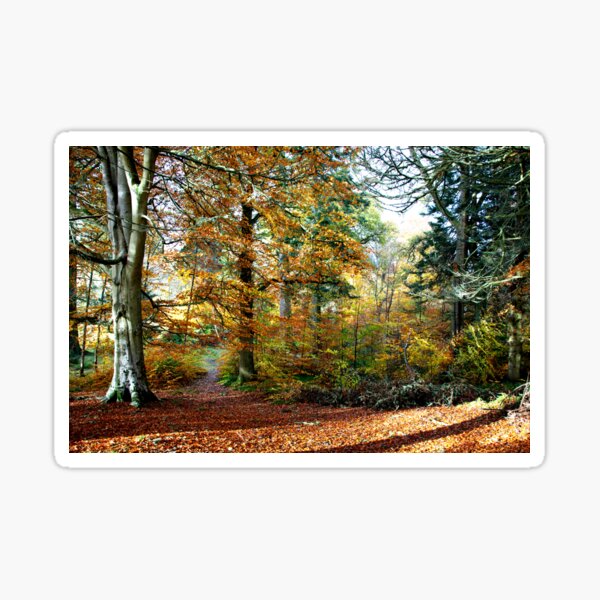 Amongst The Memories Sticker