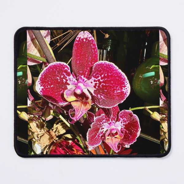 Item preview, Bold Orchid designed and sold by BreeFarinaPhoto.