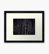 First snow Framed Print