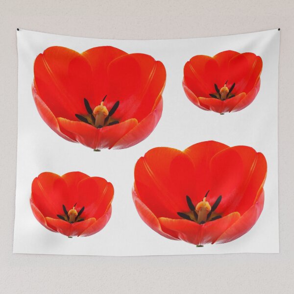 Item preview, Tulips designed and sold by Chris Burrows.