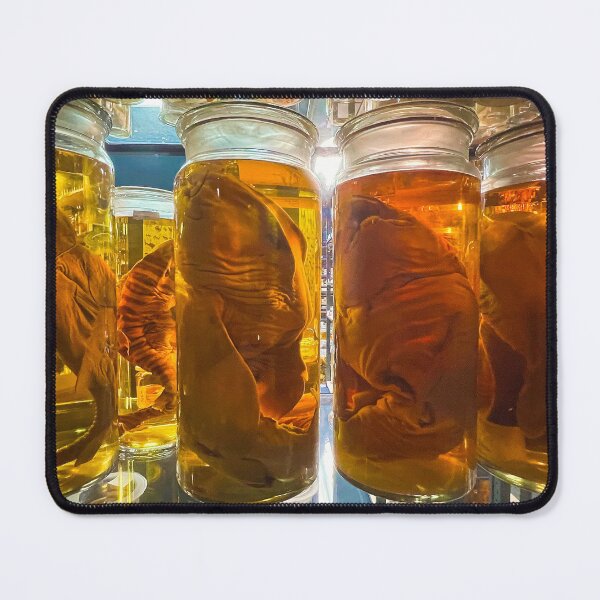 Item preview, Specimen Jars designed and sold by Dreadtread.