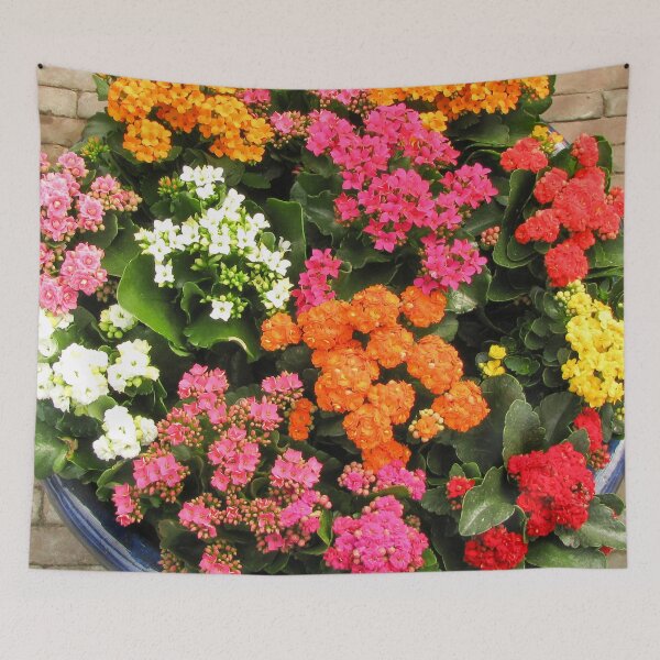 Item preview, Kalanchoe Flowers designed and sold by Ross.A.Campbell.
