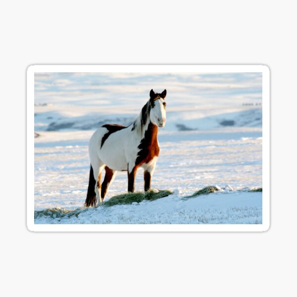 Item preview, Paint in Snow designed and sold by Shauna Kenworthy.