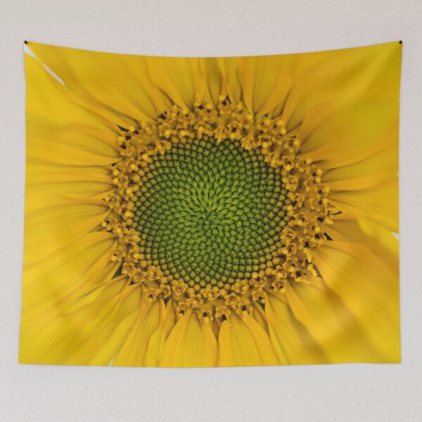 Item preview, Sunflower Heart designed and sold by justDORIS.