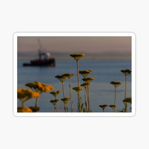 Item preview, Summer Impressions designed and sold by Melodie Douglas.