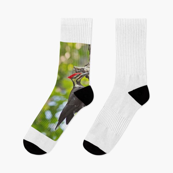 Item preview, Pileated Woodpecker at nest designed and sold by MIRCEA COSTINA.