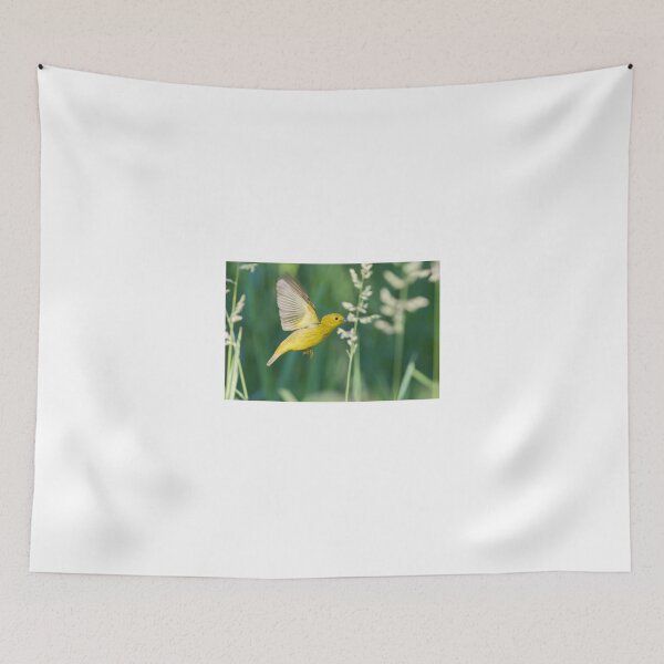 Item preview, Yellow Warbler feeding in flight designed and sold by MIRCEA COSTINA.