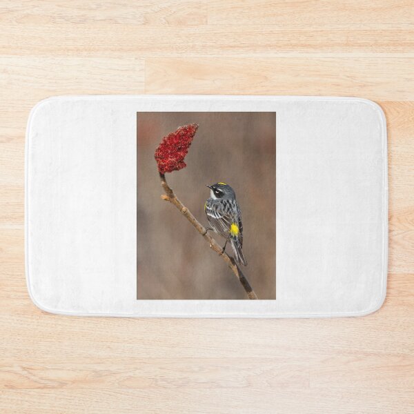 Item preview, Yellow-rumped Warbler in spring designed and sold by MIRCEA COSTINA.