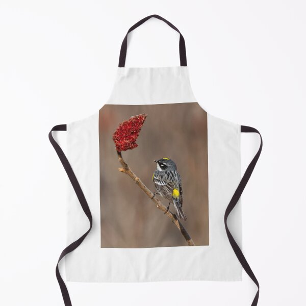 Item preview, Yellow-rumped Warbler in spring designed and sold by MIRCEA COSTINA.
