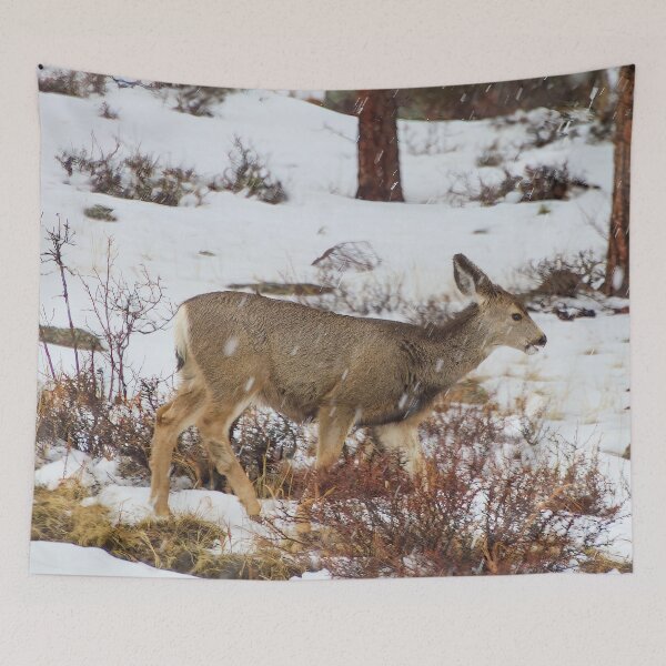 Aperçu de l'œuvre Cher pendant les chutes de neige en hiver créée et vendue par SafariByMarisa.